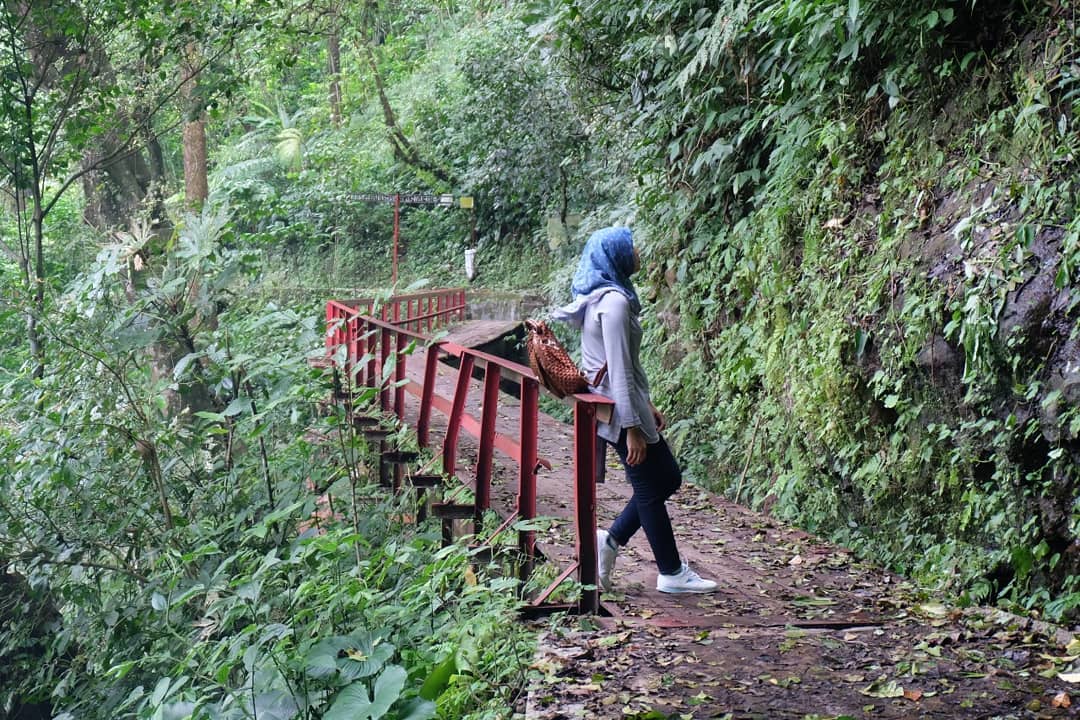 Tidak Hanya di Lokasi, Sepanjang Perjalanan Menuju Curug Lawe Juga Bagus Pemandangannya 8