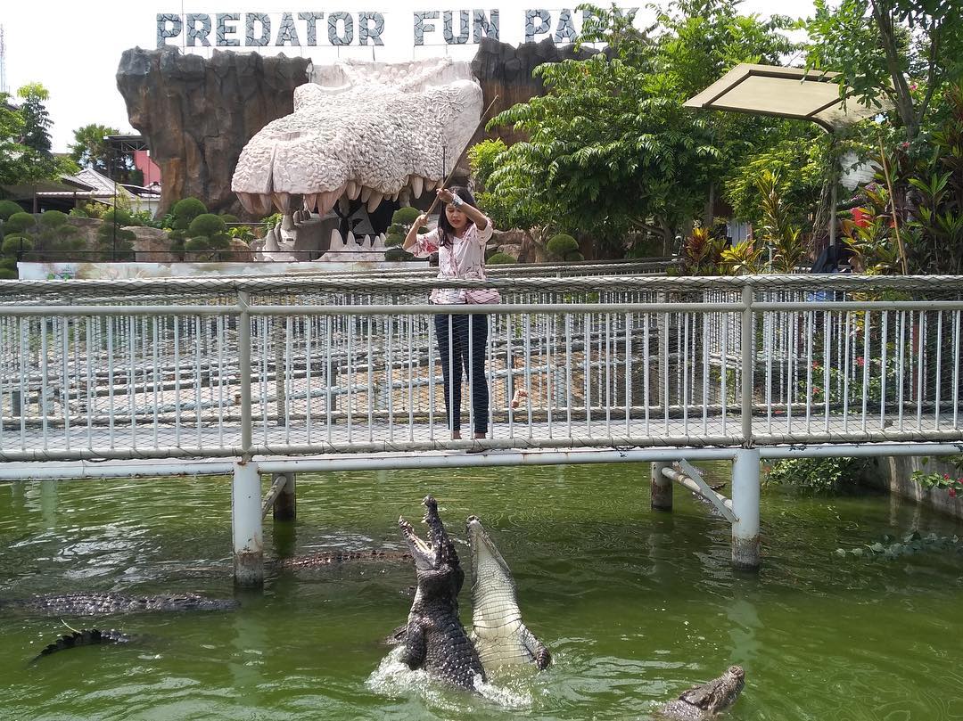 Predator Fun Park di Batu Jawa Timur 7