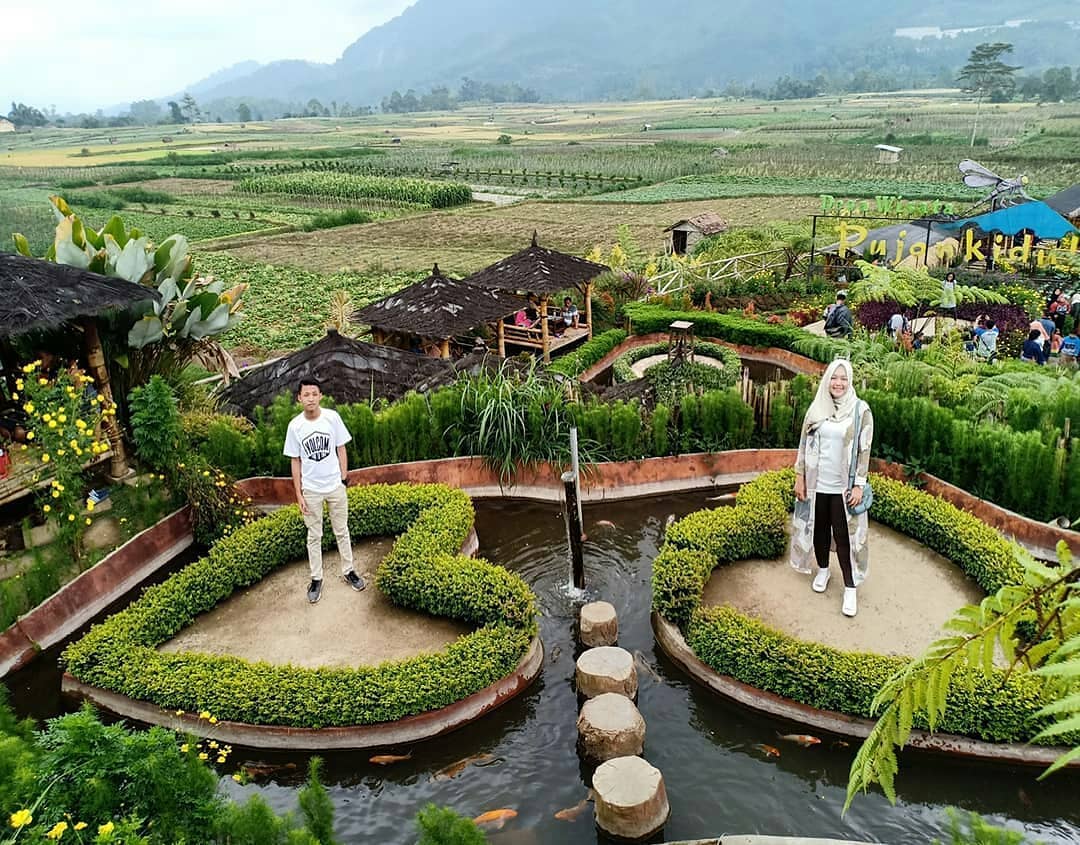 Kafe Unik di Malang, Cafe Sawah Pujon Kidul Namanya 2