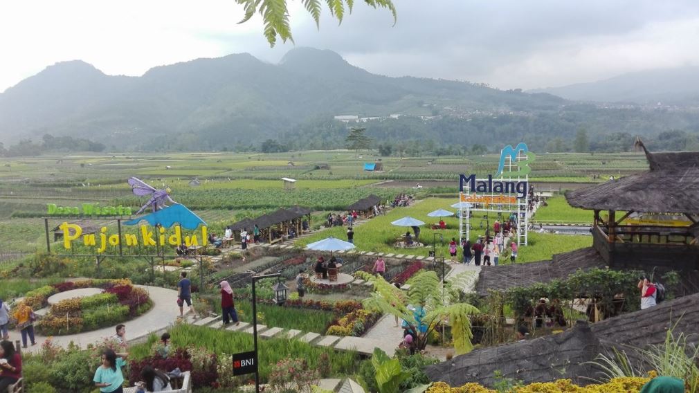 Kafe Unik di Malang, Cafe Sawah Pujon Kidul Namanya 1