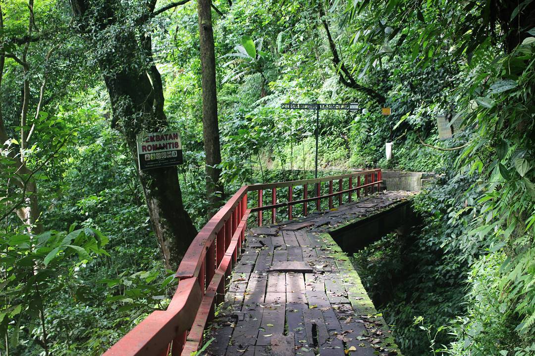 Tidak Hanya di Lokasi, Sepanjang Perjalanan Menuju Curug Lawe Juga Bagus Pemandangannya 4