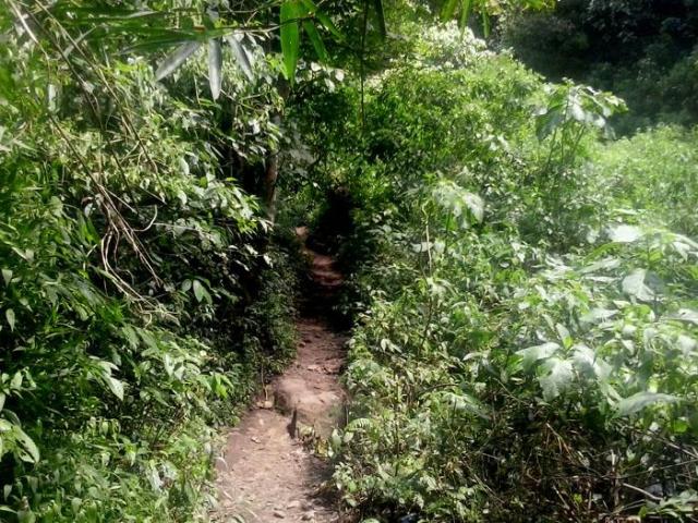 Ini Spot Foto di Coban Rais Malang Yang Lagi Hits dan Instagramable 7