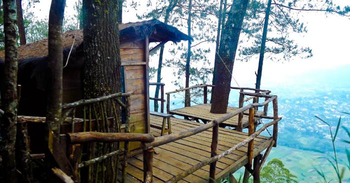 Omah Kayu Batu, Berapa Harga Sewa dan Tiket Masuknya? 2