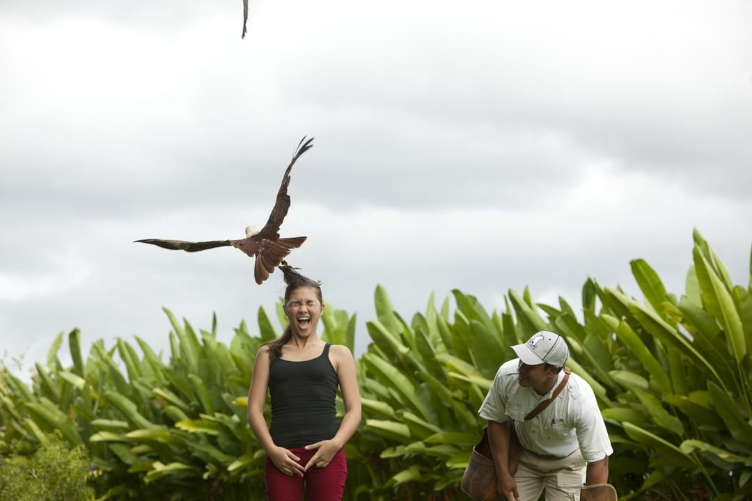 Bali Bird Park, Taman Burung Lokasi di Gianyar 7 Bali Bird Park, Taman Burung Lokasi di Gianyar 7