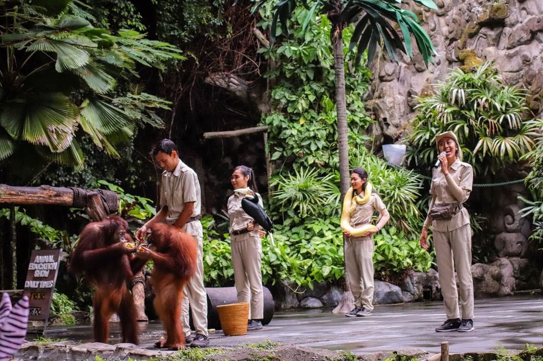 Bali Safari & Marine Park BSMP Gianyar 11 Bali Safari & Marine Park BSMP Gianyar 11