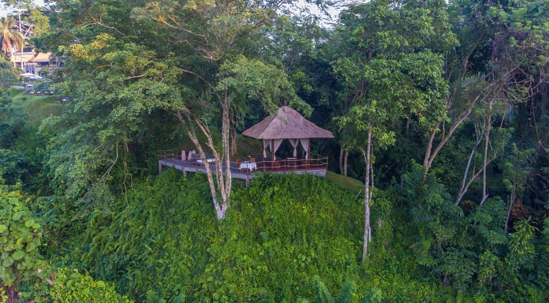 Alila Ubud, Kolam Renangnya Keren 2 Alila Ubud, Kolam Renangnya Keren 2