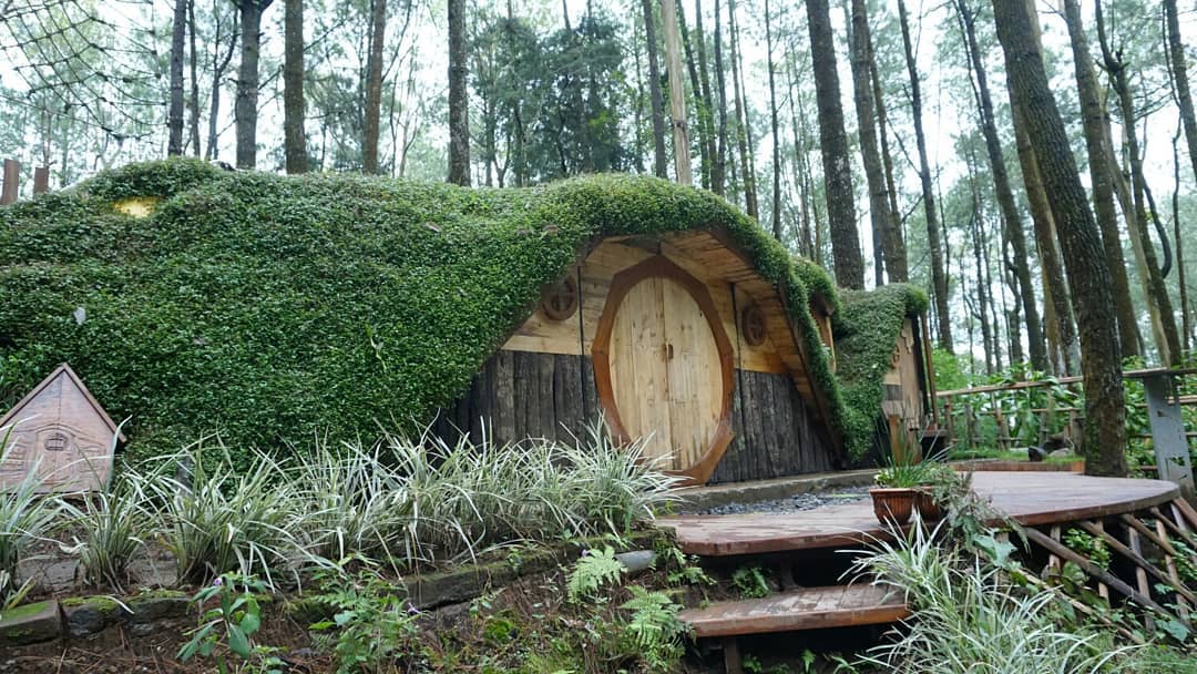 10 Gambar Kopeng Treetop Adventure Park 2022 Harga Tiket Masuk Sky