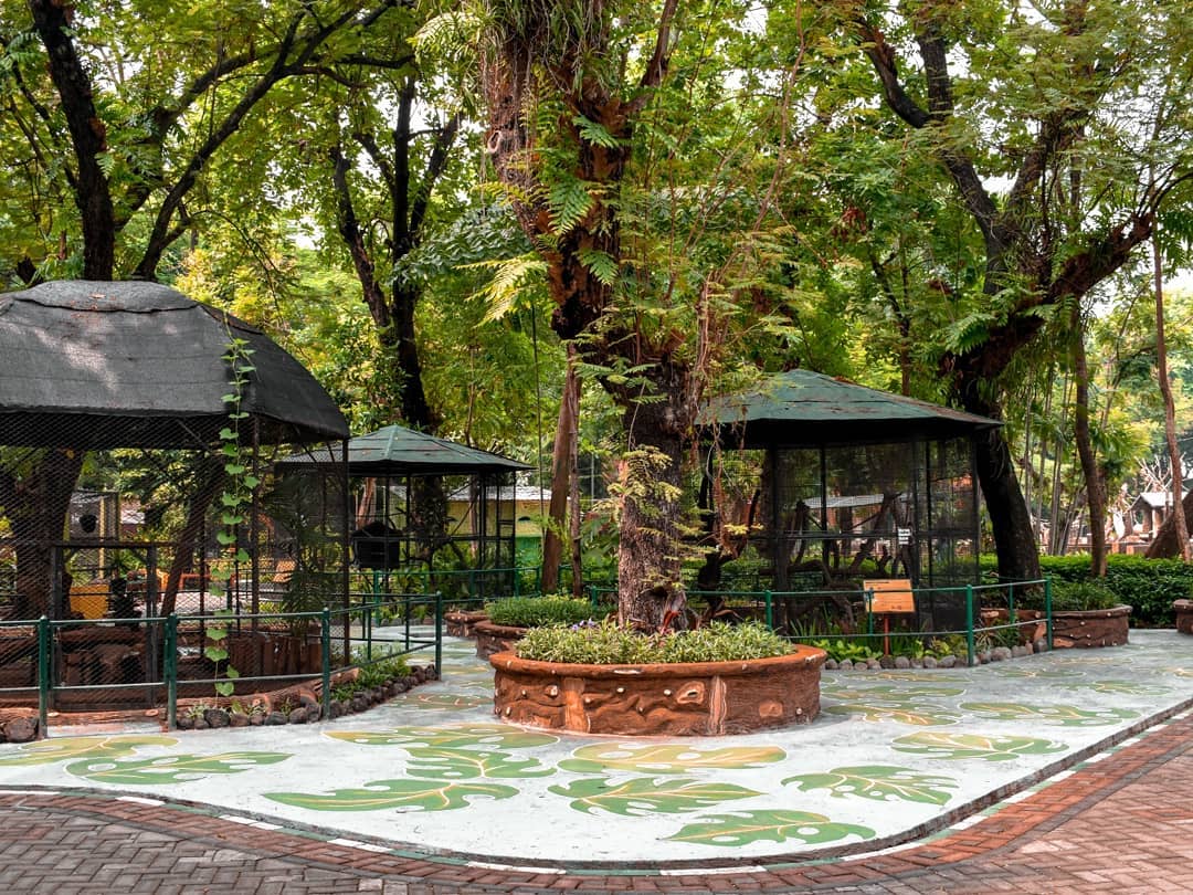 Kebun Binatang Surabaya 2