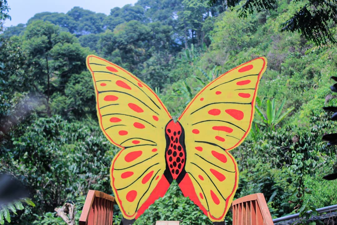 Curug Cipamingkis Jonggol Bogor 7 Curug Cipamingkis Jonggol Bogor 7