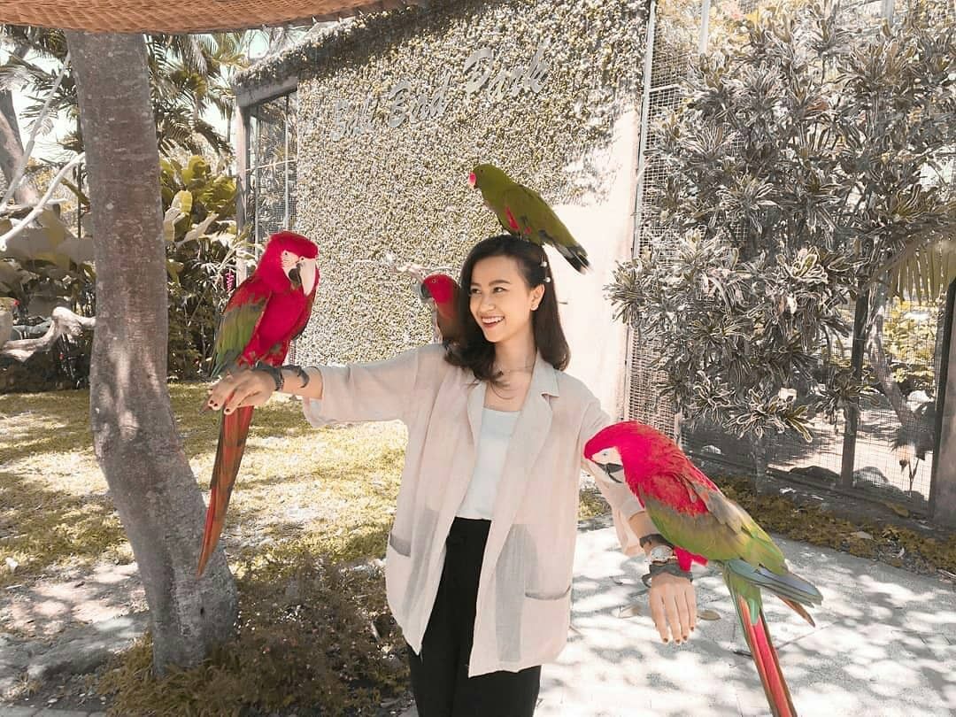 Bali Bird Park, Taman Burung Lokasi di Gianyar 2 Bali Bird Park, Taman Burung Lokasi di Gianyar 2