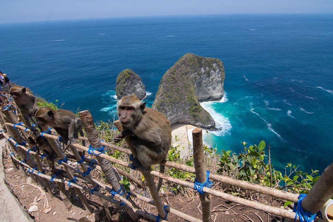 Pantai Kelingking Nusa Penida Bali 1