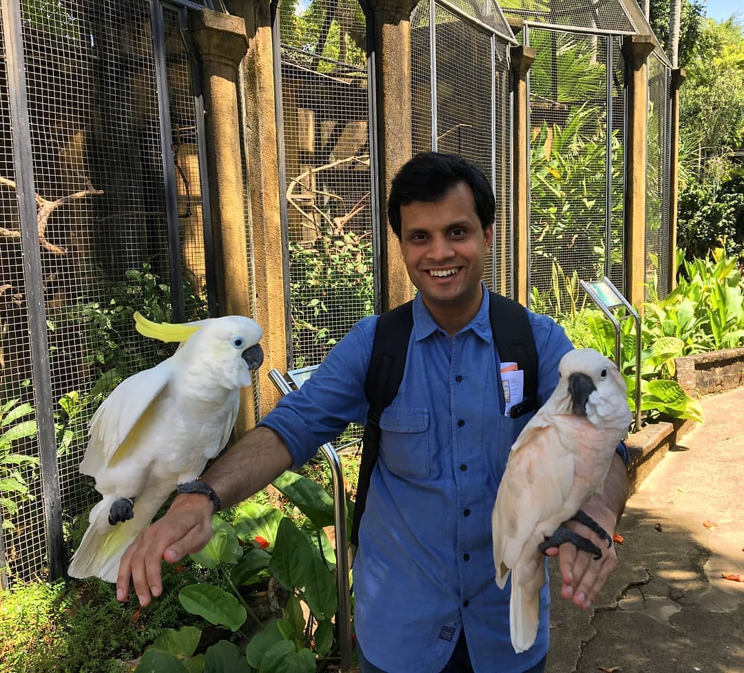 Bali Bird Park, Taman Burung Lokasi di Gianyar 4 Bali Bird Park, Taman Burung Lokasi di Gianyar 4