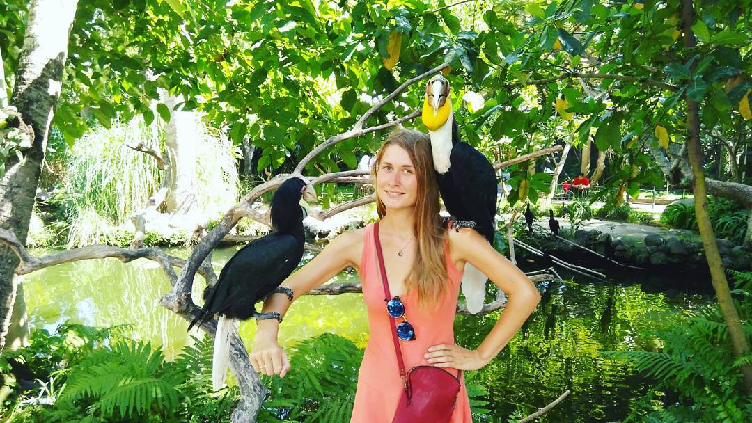 Bali Bird Park, Taman Burung Lokasi di Gianyar 10 Bali Bird Park, Taman Burung Lokasi di Gianyar 10