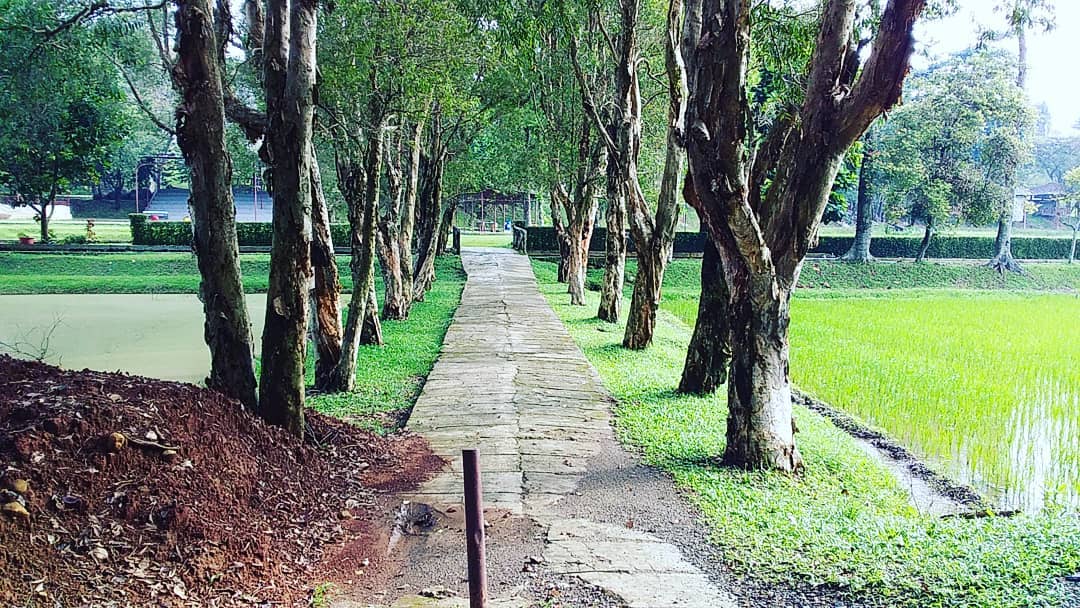 Kebun Wisata Pasir Mukti di Bogor 2 Kebun Wisata Pasir Mukti di Bogor 2