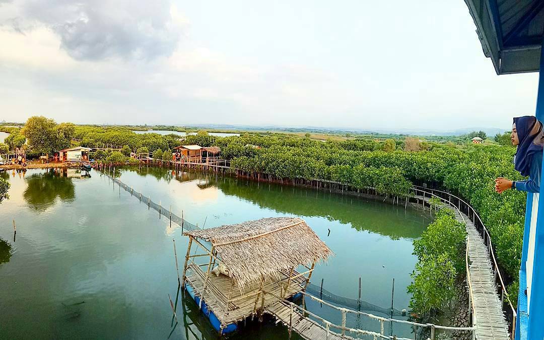Hutan Mangrove Semarang Edupark, Harga Tiket Masuk Lokasi
