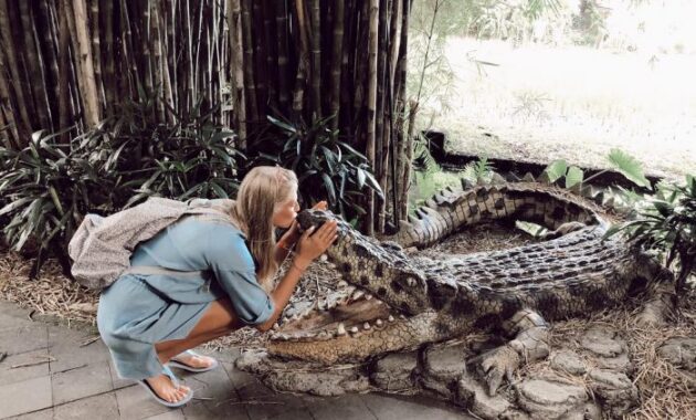 Bali Safari & Marine Park BSMP Gianyar 4 Bali Safari & Marine Park BSMP Gianyar 3