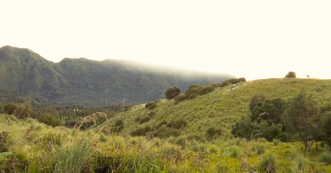Gunung Bromo di Jawa Timur 9 Gunung Bromo di Jawa Timur 9
