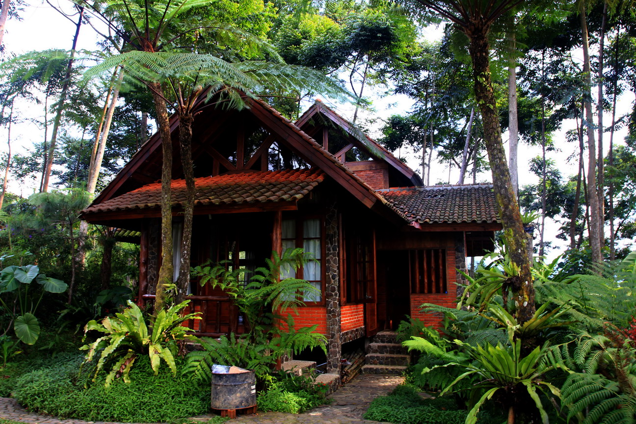 Terbius Cantiknya Curug Cigamea 5