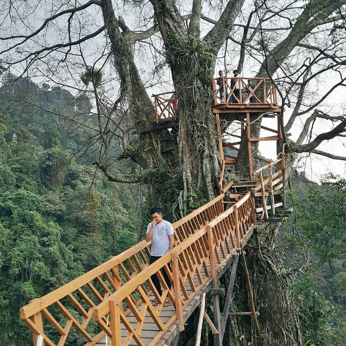 Jembatannya Instagramable Banget! Ini Dia Curug Ciherang Bogor 2 Jembatannya Instagramable Banget! Ini Dia Curug Ciherang Bogor 2