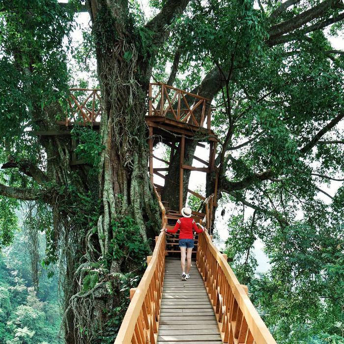 Jembatannya Instagramable Banget! Ini Dia Curug Ciherang Bogor 8 Jembatannya Instagramable Banget! Ini Dia Curug Ciherang Bogor 8