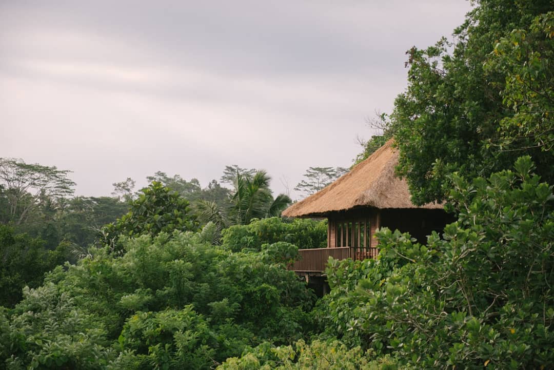 Alila Ubud, Kolam Renangnya Keren 8 Alila Ubud, Kolam Renangnya Keren 8