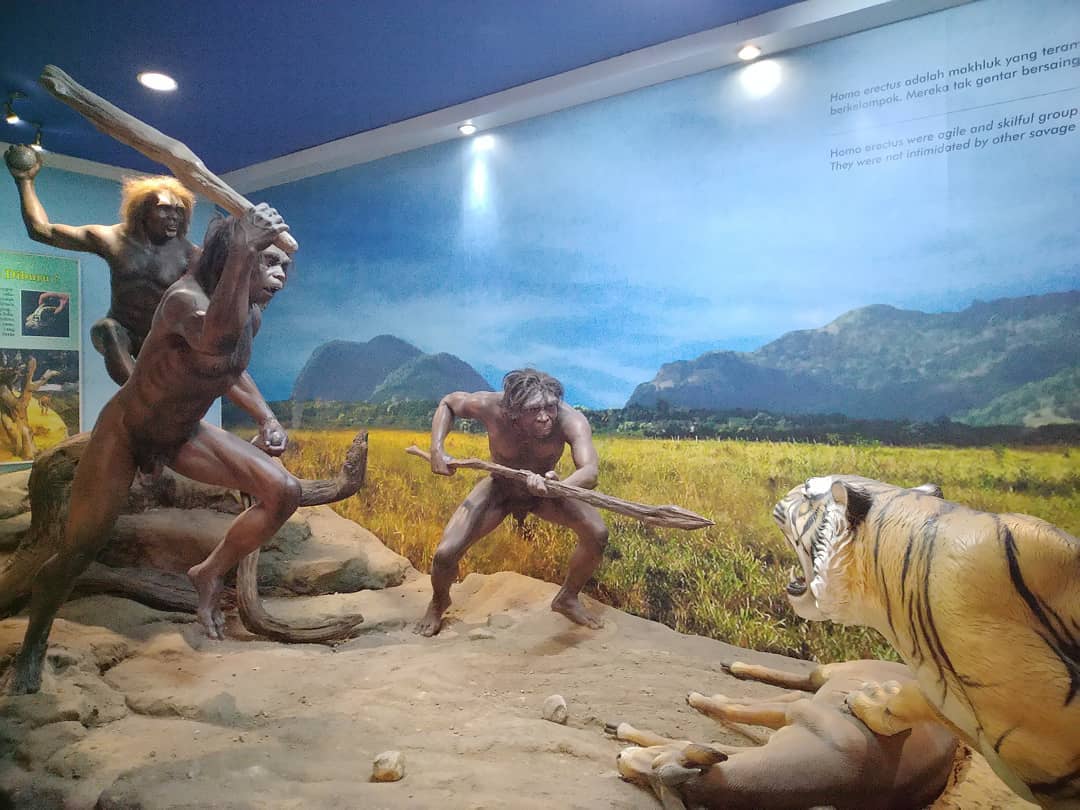 Museum Fosil Purbakala Sangiran 6