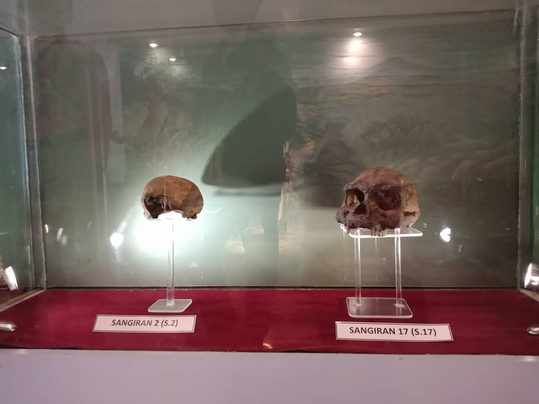 Museum Fosil Purbakala Sangiran 8
