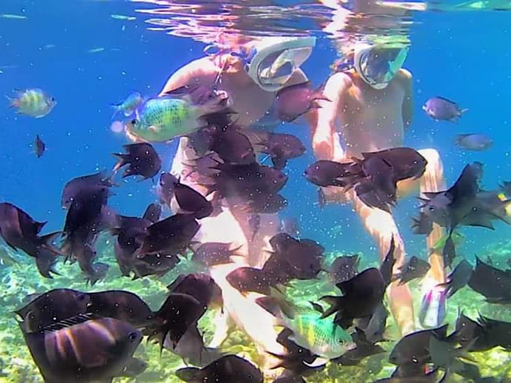 Snorkeling di Gili Layar 1