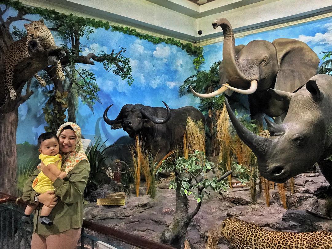 Rahmat International Wildlife Museum and Gallery 3