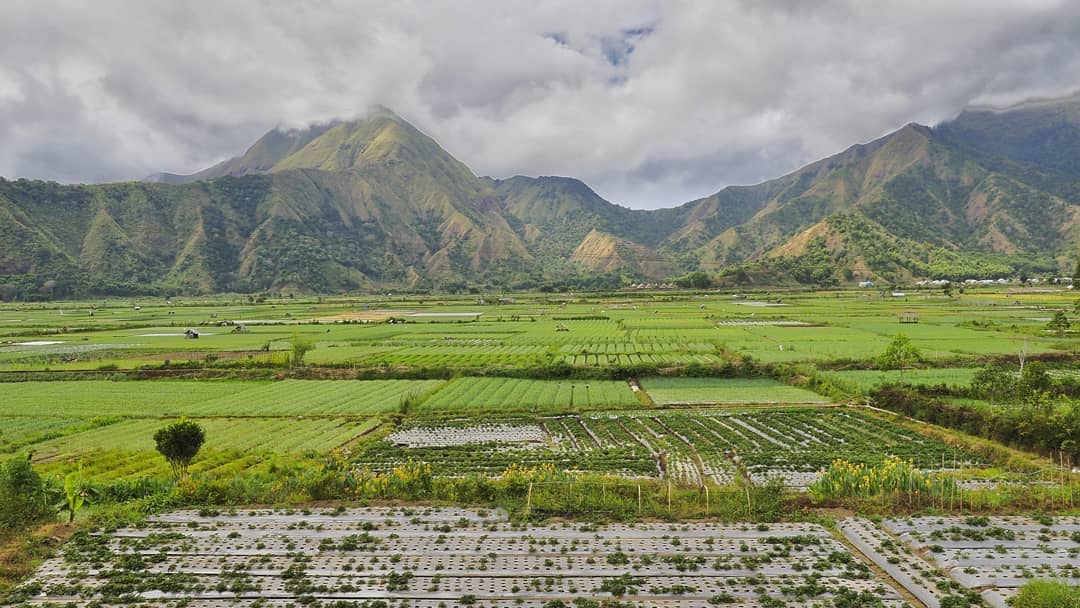 Desa Sembalun Lombok 1