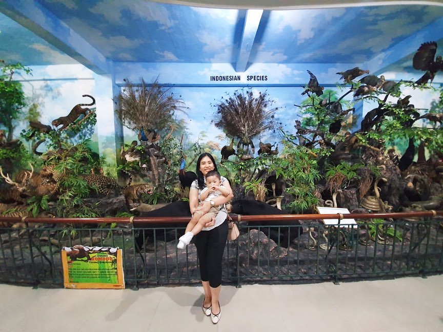 Rahmat International Wildlife Museum and Gallery 6
