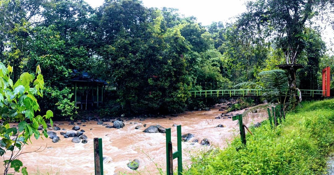Taman Nasional Bukit Barisan Selatan 1 Taman Nasional Bukit Barisan Selatan 1