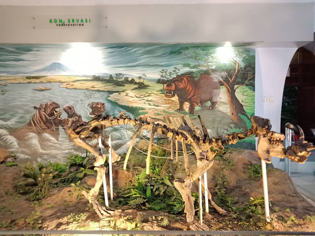 Museum Fosil Purbakala Sangiran 7