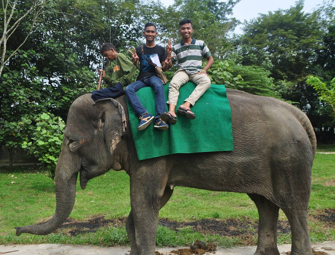 Jalan Jalan Ke Medan Zoo 9 Jalan Jalan Ke Medan Zoo 9