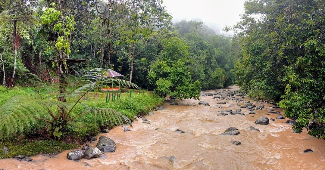 Taman Nasional Bukit Barisan Selatan 3 Taman Nasional Bukit Barisan Selatan 3