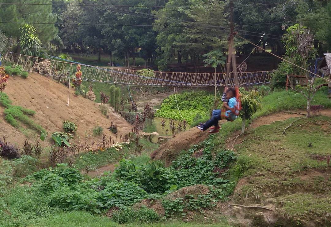 Jalan Jalan Ke Medan Zoo 11 Jalan Jalan Ke Medan Zoo 11