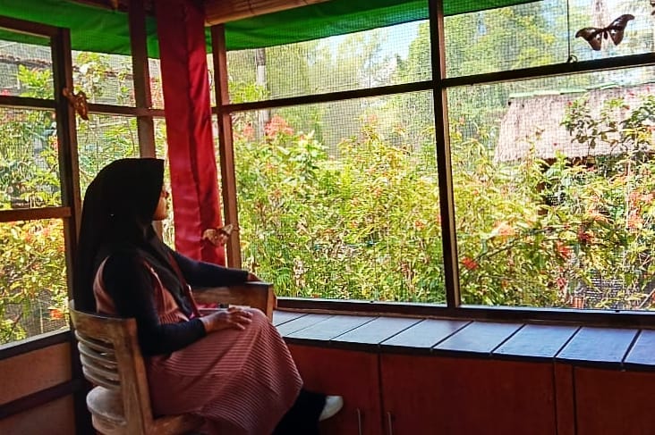 Butterfly Park Bali Atau Taman Kupu Kupu di Tabanan 2