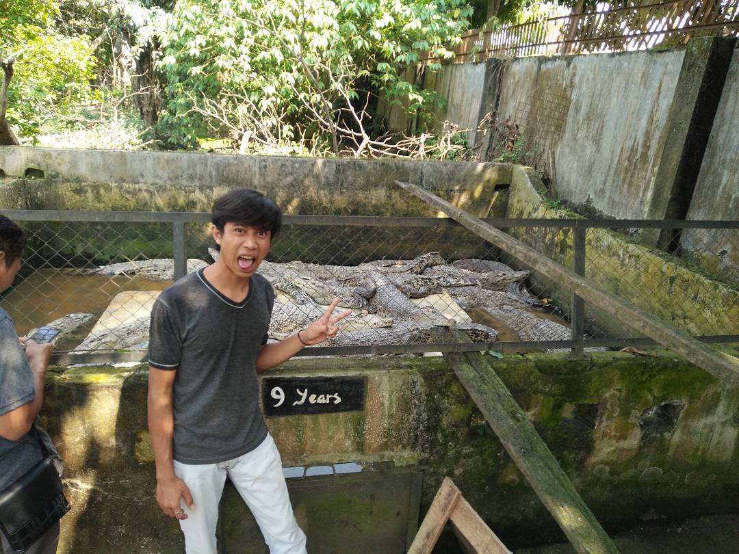 Penangkaran Buaya Asam Kumbang 5 Penangkaran Buaya Asam Kumbang 5