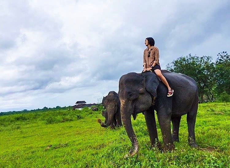 Taman Nasional Way Kambas di Lampung 3 Taman Nasional Way Kambas di Lampung 3