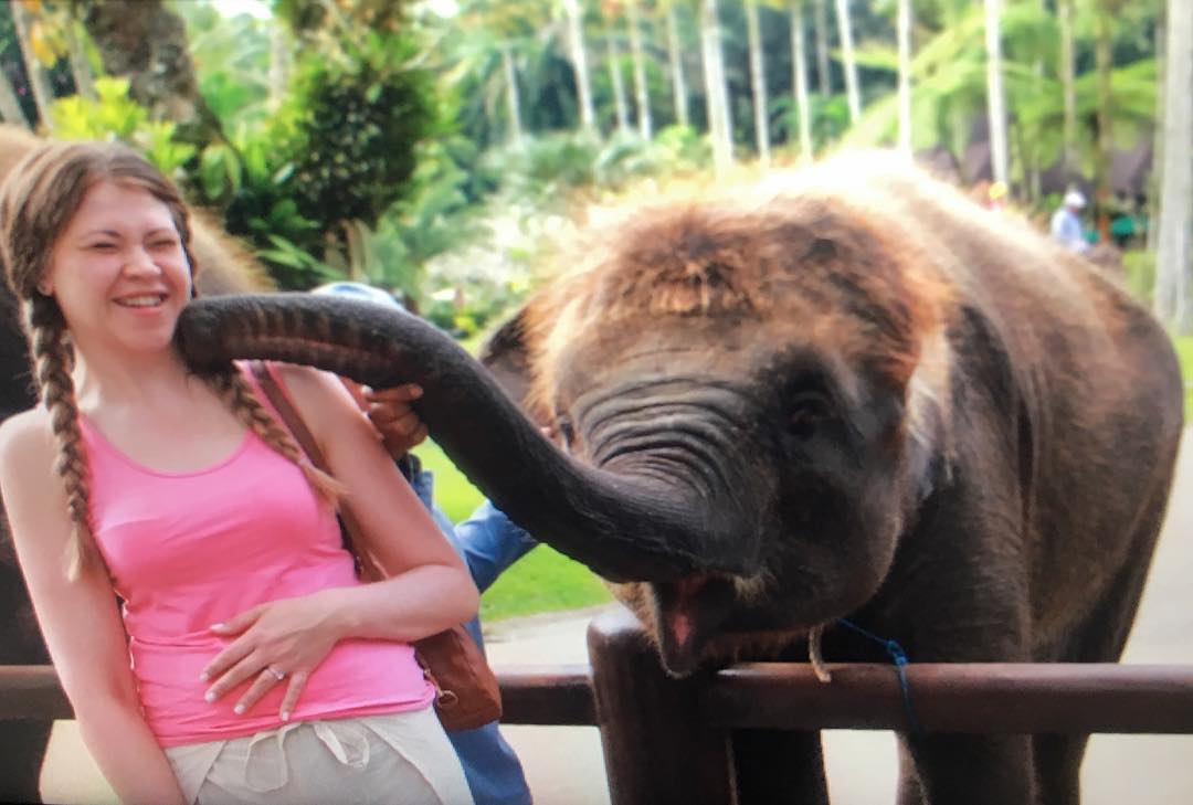 Elephant Safari Park Bali 1