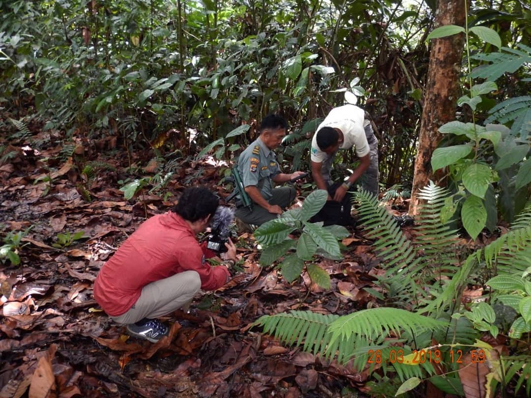 Taman Nasional Bukit Barisan Selatan 4 Taman Nasional Bukit Barisan Selatan 4
