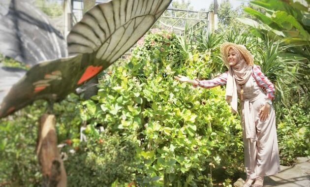 Butterfly Park Bali Atau Taman Kupu Kupu di Tabanan 29 Butterfly Park Bali Atau Taman Kupu Kupu di Tabanan