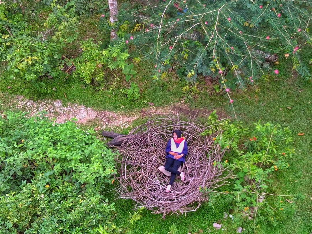 Taman Kupu Kupu Gita Persada Lampung 4 Taman Kupu Kupu Gita Persada Lampung 4