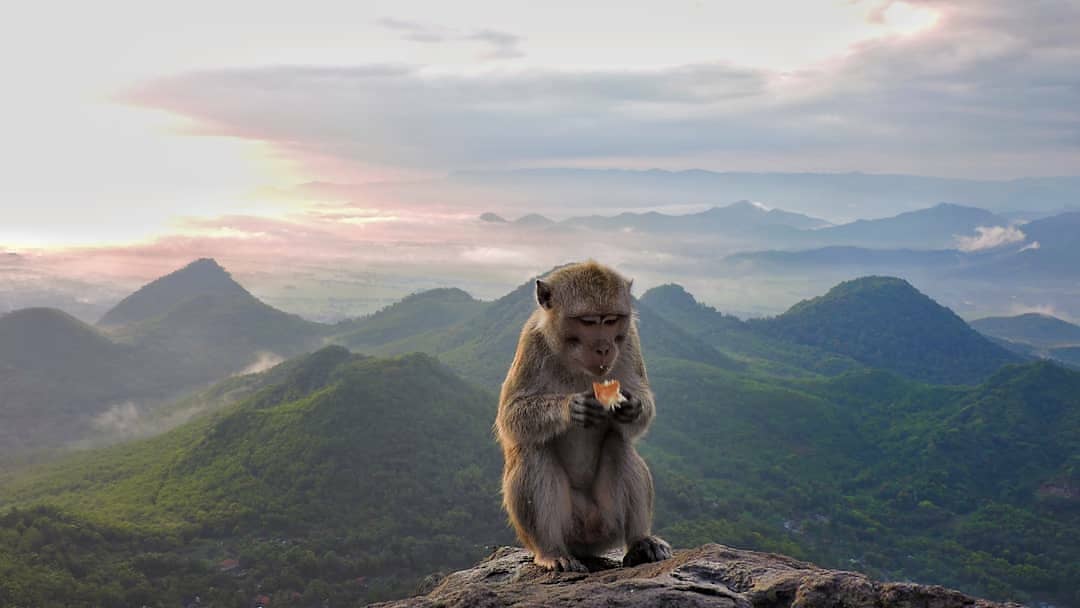 Bukit Cumbri Wonogiri 8