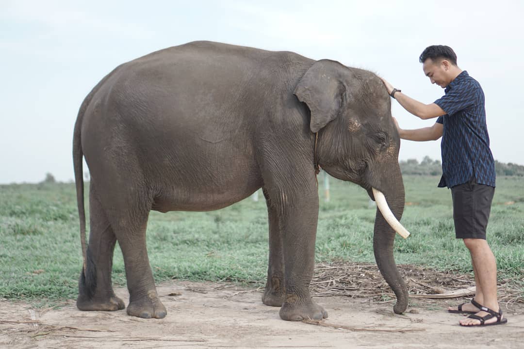 Taman Nasional Way Kambas di Lampung 5 Taman Nasional Way Kambas di Lampung 5