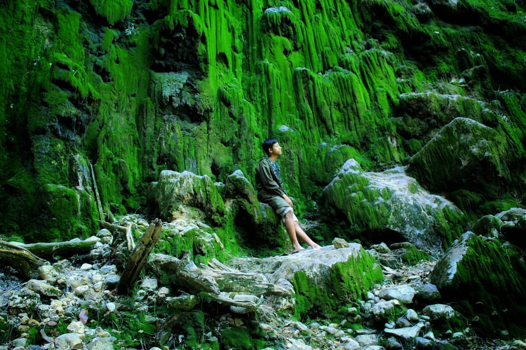 Cemoro Kandang Tawangmangu Karanganyar 9