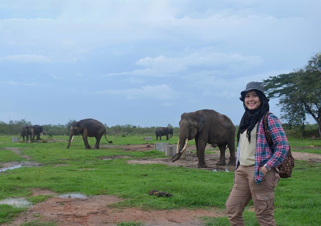 Taman Nasional Way Kambas di Lampung 6 Taman Nasional Way Kambas di Lampung 6