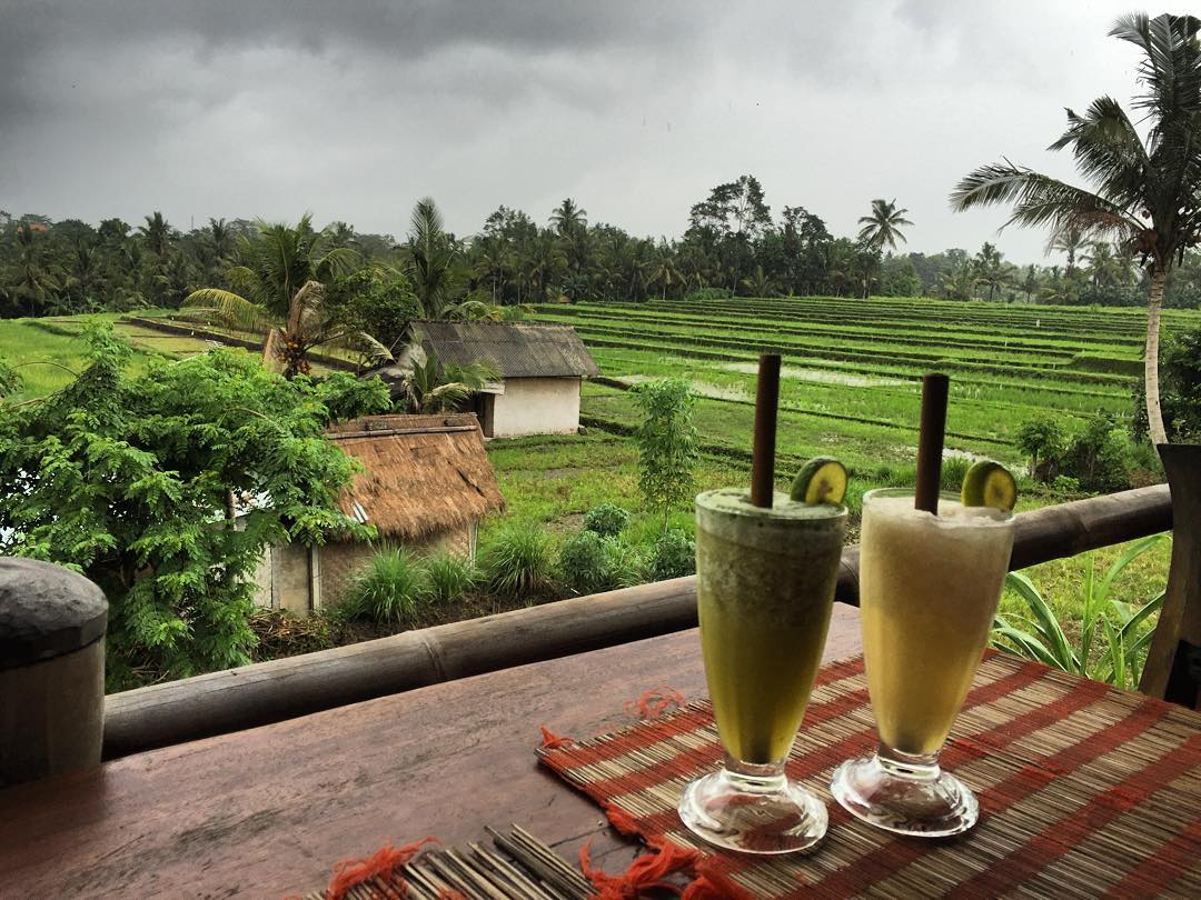 Sari Organik Ubud Bali 8 Sari Organik Ubud Bali 8
