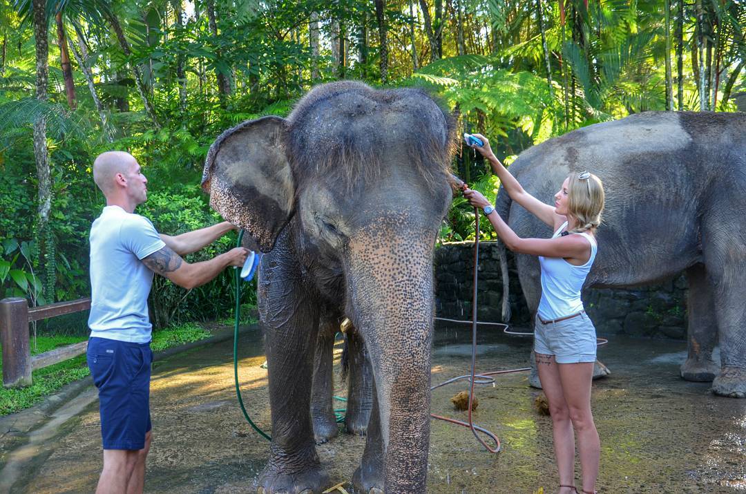 Elephant Safari Park Bali 3
