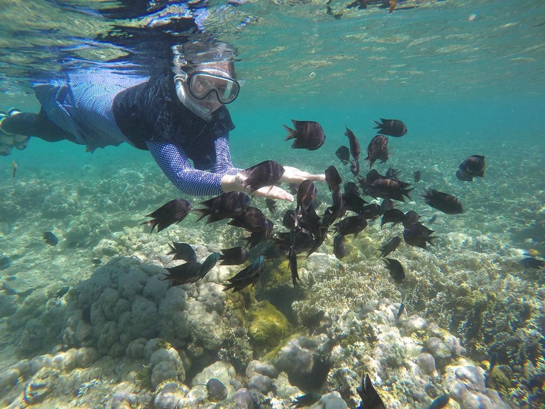 Snorkeling di Gili Gede Lombok 5